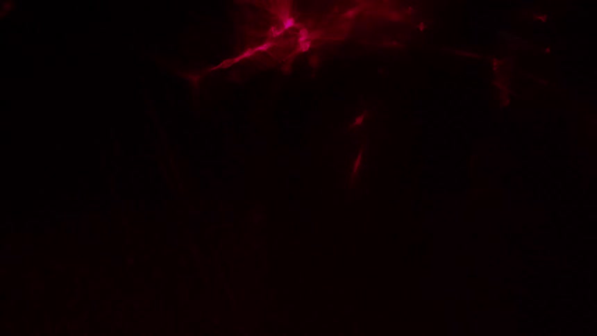 A reddish pinkish and black colors that look like lasers