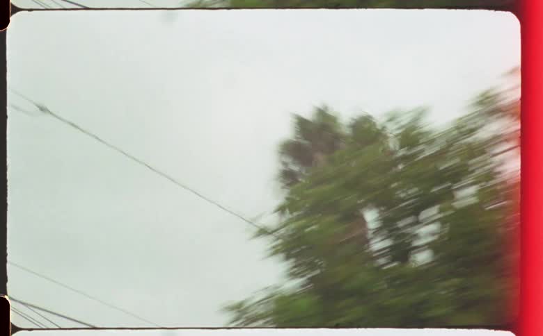 Tall palm trees in a tropical city caught on vintage film