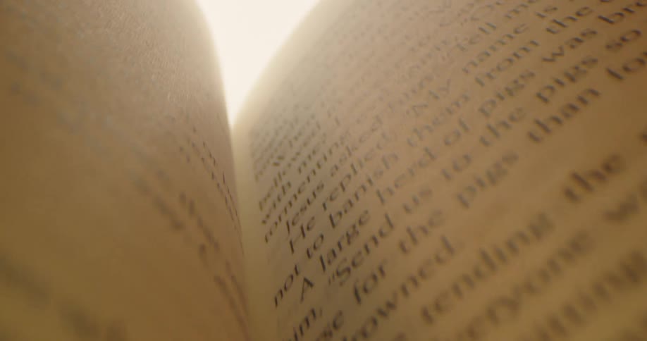 A book is partially open and there is text on the pages