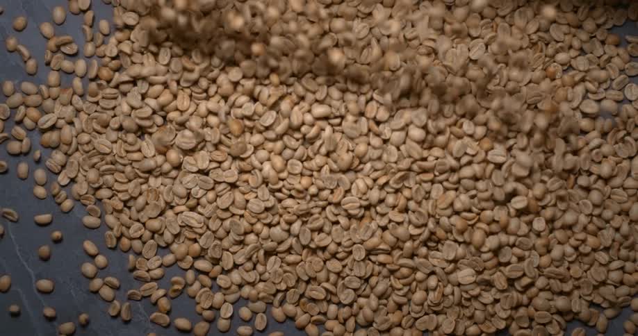 A lot of coffee beans being dumped onto a table
