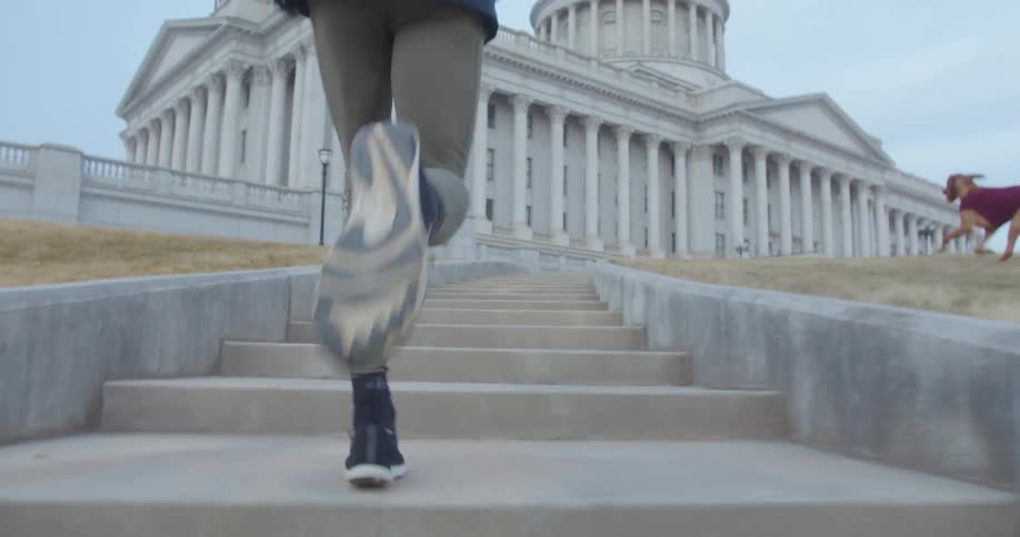 A dog runs along the grass as his owner runs the steps toward a columned building