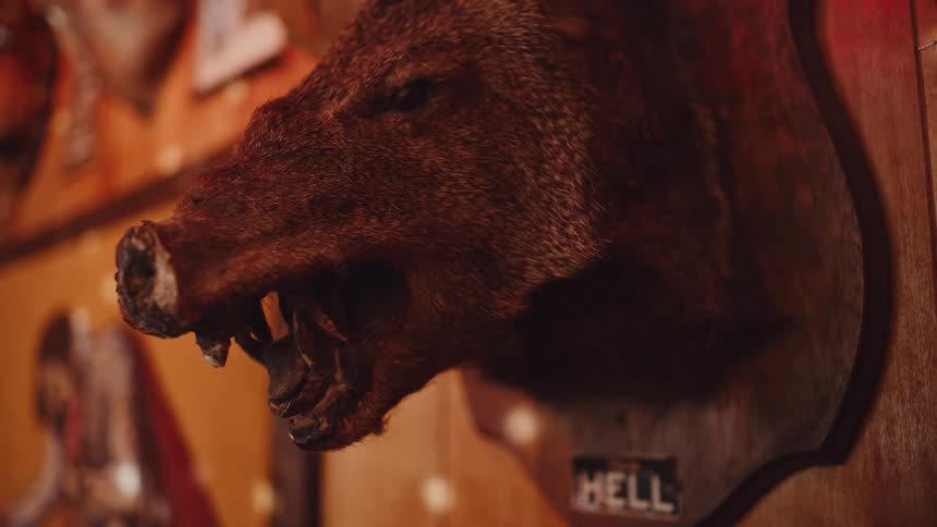 An animal head mounted to a wood panel wall with flashing lights