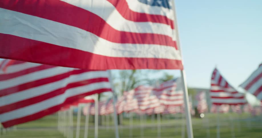 Dozens of American flags fly in rows in a park