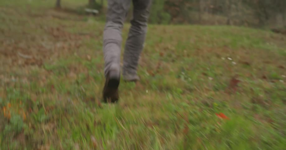 A person walking outside with their dog