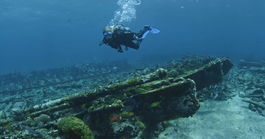 A diver swims over a rusted boat