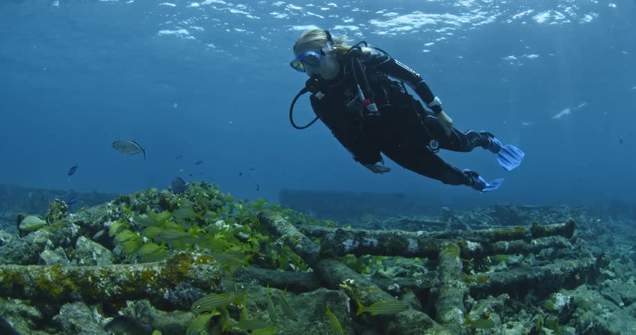 A diver swims near the ocean floor