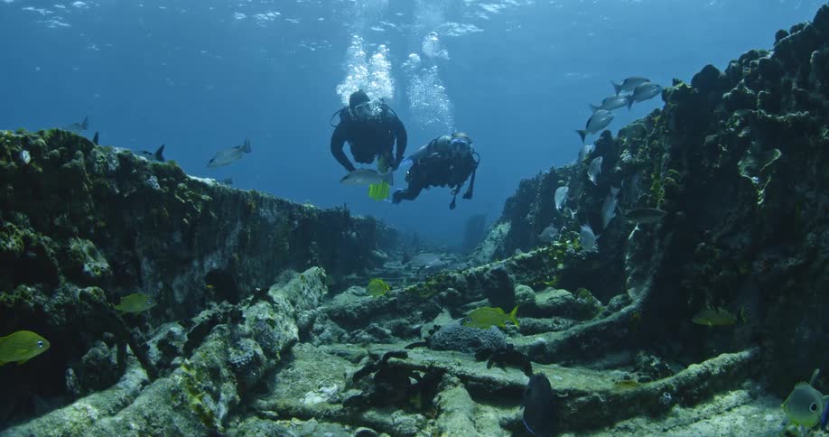 Scuba divers and fish swim over a shipwreck