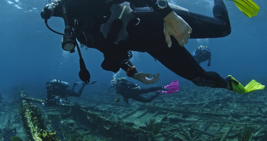 A group of divers are exploring an old ship wreck