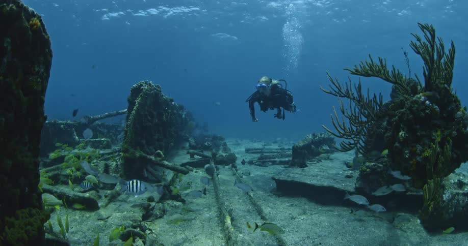 A diver is swimming near an old wreck on the bottom of the ocean