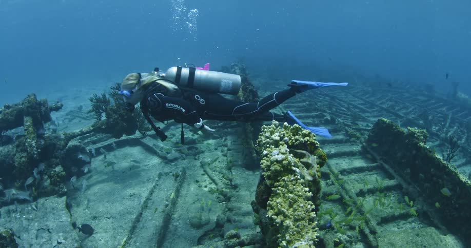 Divers are swimming around a sunken ship