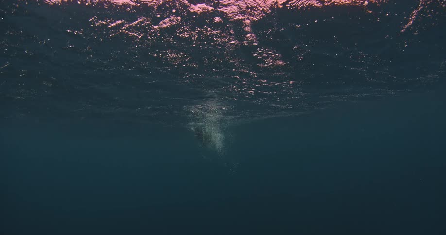 Ocean waves ripple and flow above