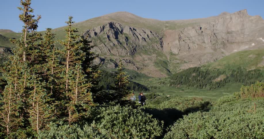 Three people gathering in a wilderness area
