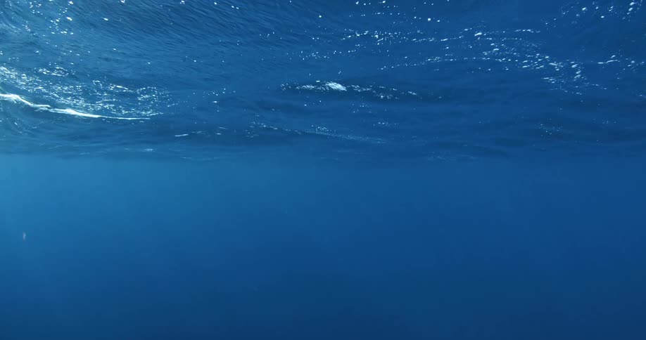 Ocean waves ripple and wave above