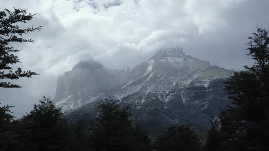 Forest of trees and snow covered mountains high in the clouds