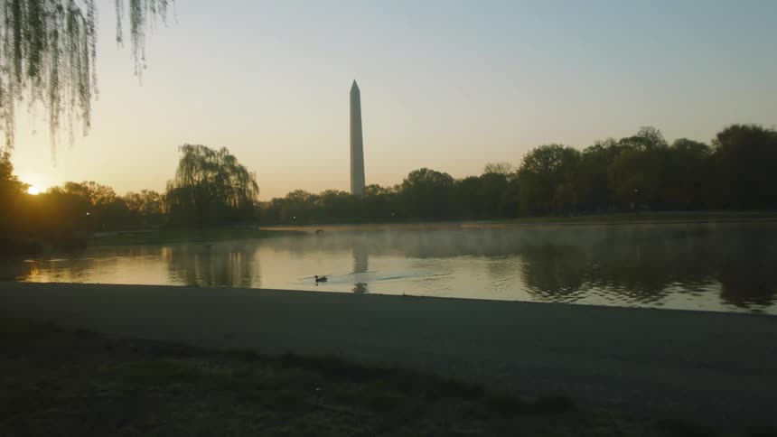 Ducks swimming in the lincoln memorial reflecting pool with the washington monument in the distance
