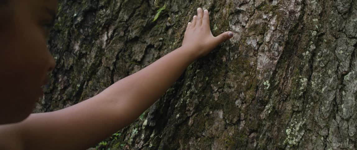 A person touching a tree