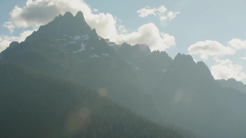 A forest in front of a mountain range