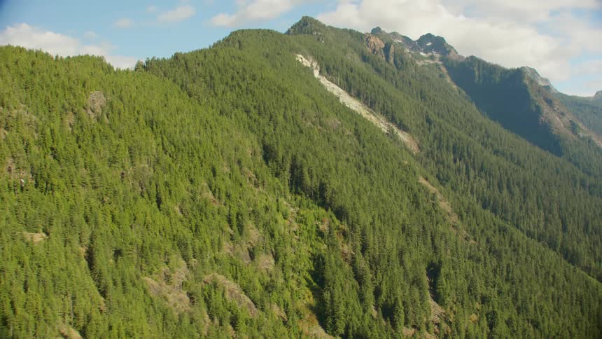 Aerial shot of a mountain range full of trees