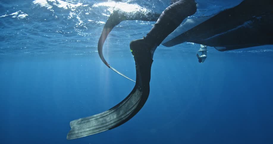 A divers feet are in the water of the ocean