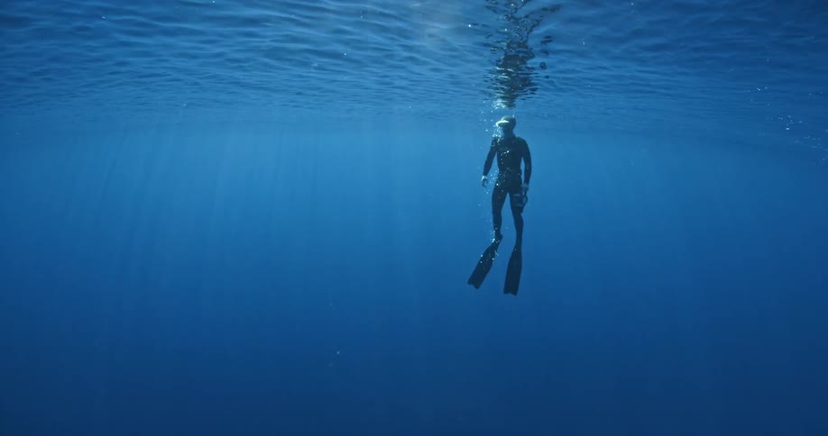 A diver swims up to the surface