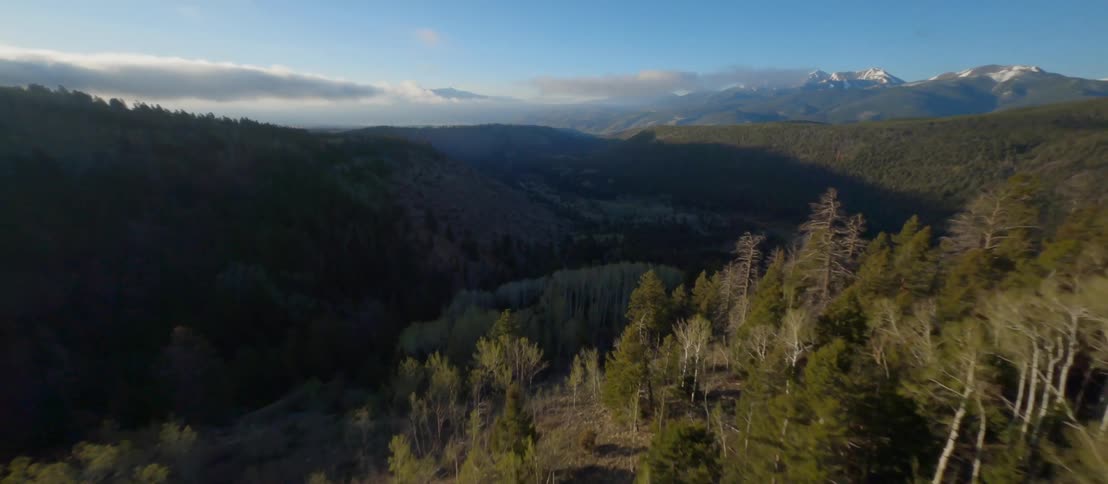 Aerial view of a forest in the mountains at morning
