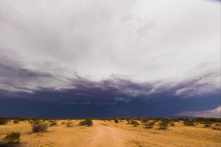 A landscape with a desert with shrubs with the sky and clouds in the background