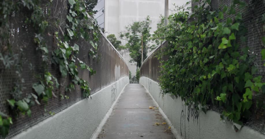 An empty alley has a fence on both sides