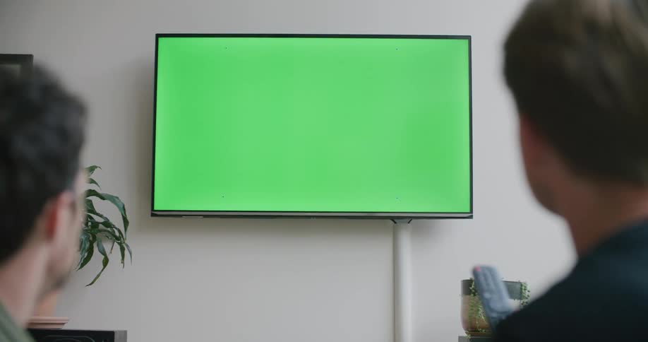 Two men in a room looking at a television with a wall and plants in the background