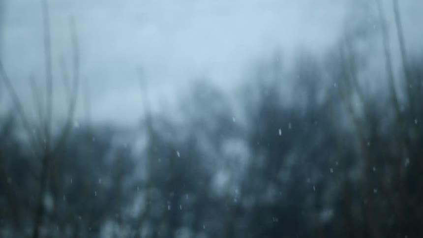 Snow falling with trees the sky and clouds in the background