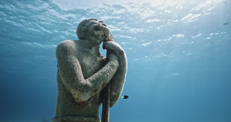 Fish swim around the statue underwater