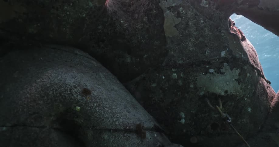 A stone statue on an ocean floor in the daytime