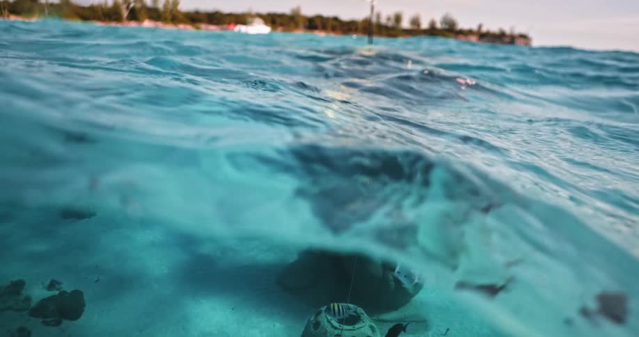 A statue is underwater surrounded by fish