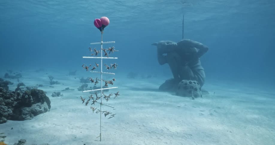 A balloon is floating underwater by a statue
