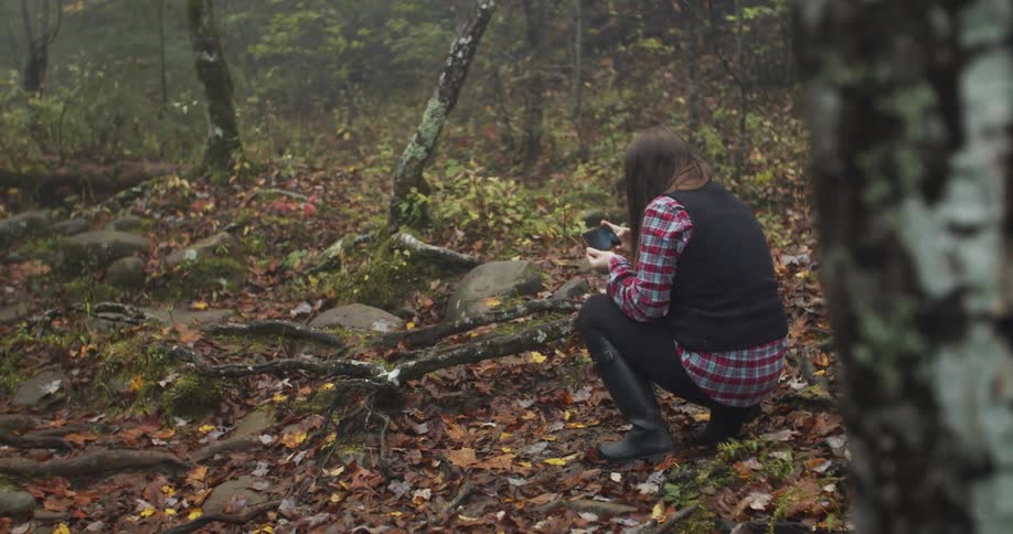A woman taking a photo of a forest with a smartphone
