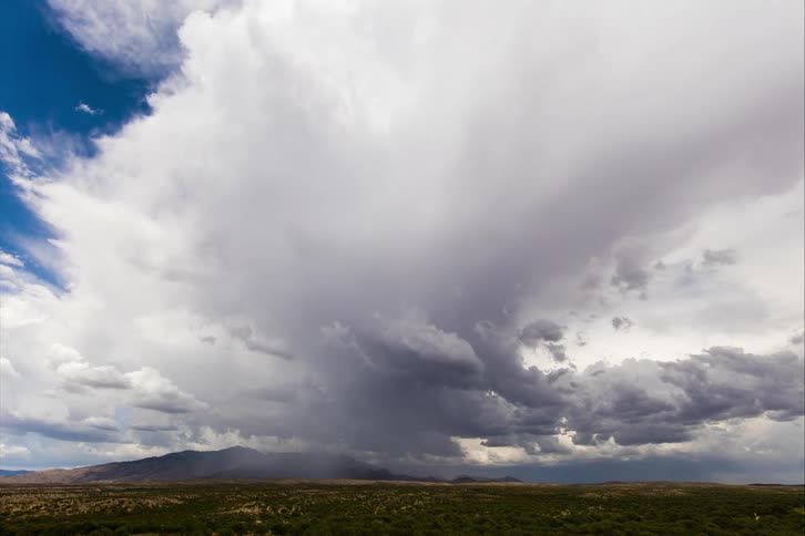 Clouds are forming into a storm above a field of grass
