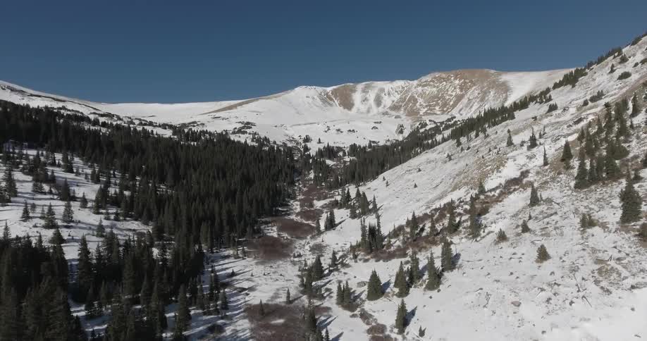 Aerial view of a mountain covered with trees and snow