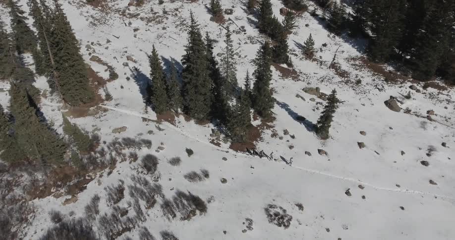 A group of people walk through a snowy field with trees