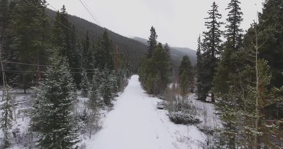 Moving over a road covered with snow and trees on both sides