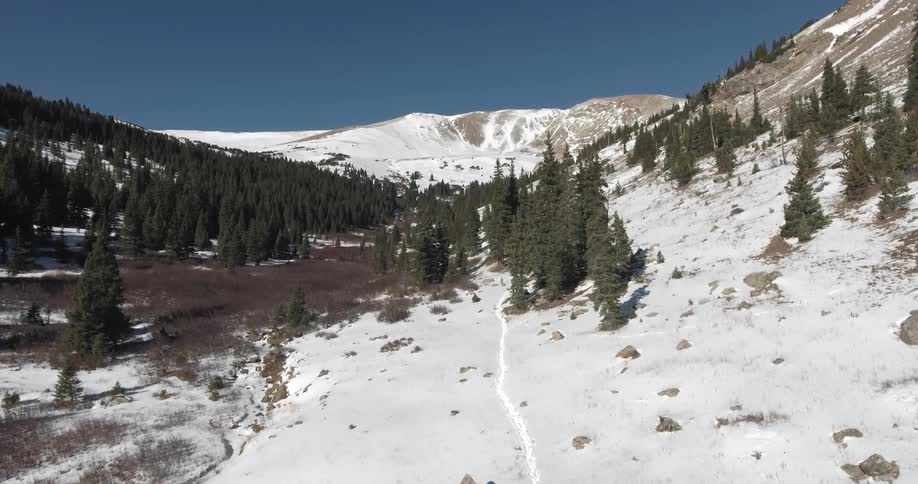 A hill is covered with snow and trees