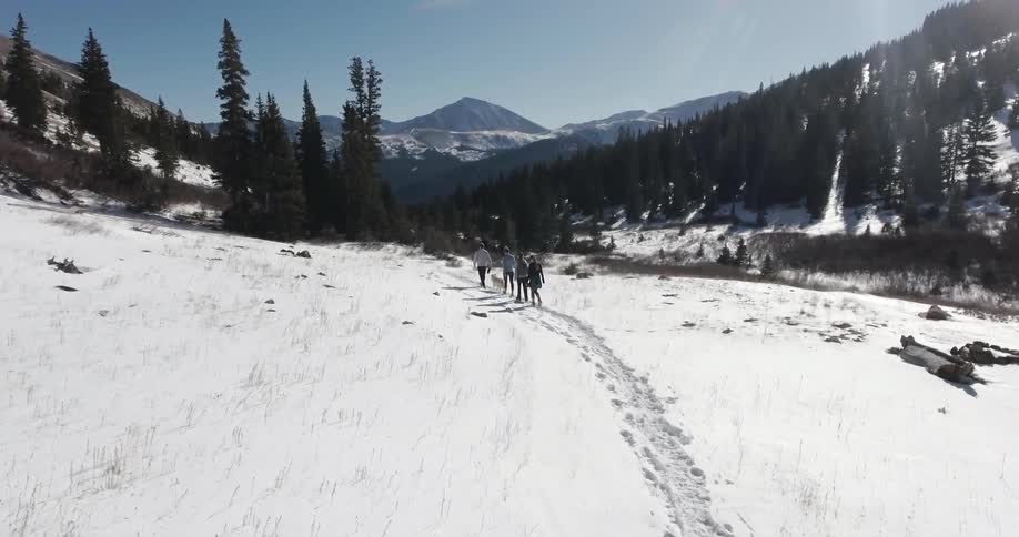 Four people walk in a row along a path in the snow