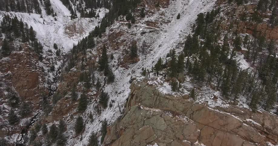 Aerial view of a tree-covered, wintry mountainside
