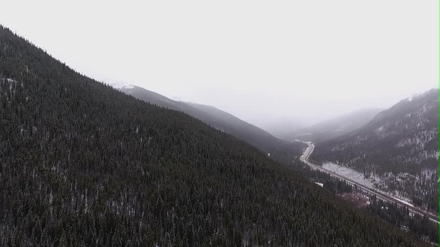 Aerial view of a hill covered with trees
