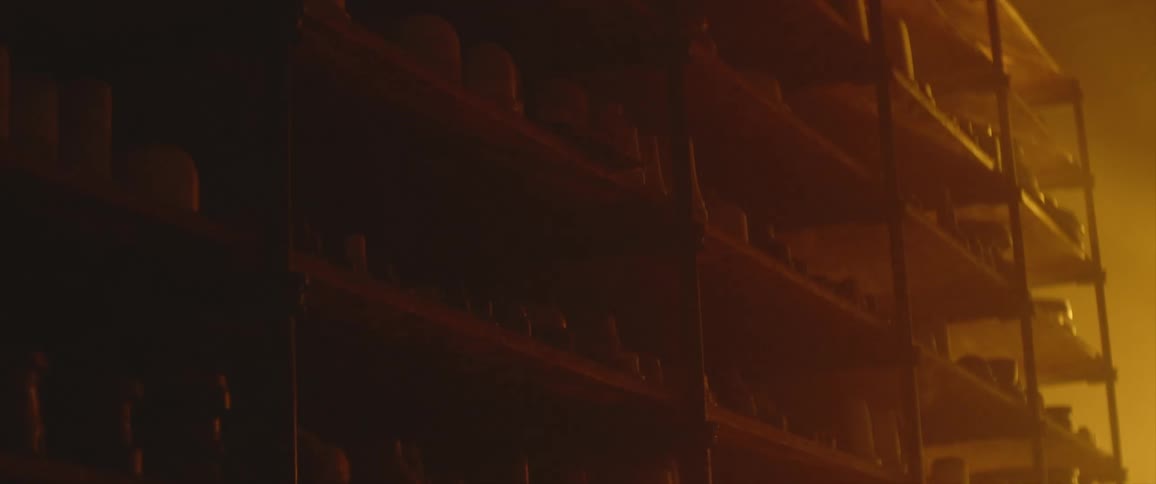 Sunlight washes over shelves lined with hundreds of camera lenses