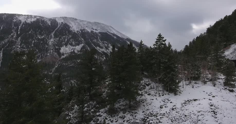 Trees line a snow covered mountain on an overcast winter day