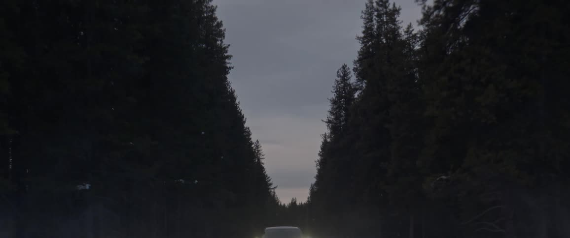 A car with headlights on travels on a forest road surrounded by tall trees