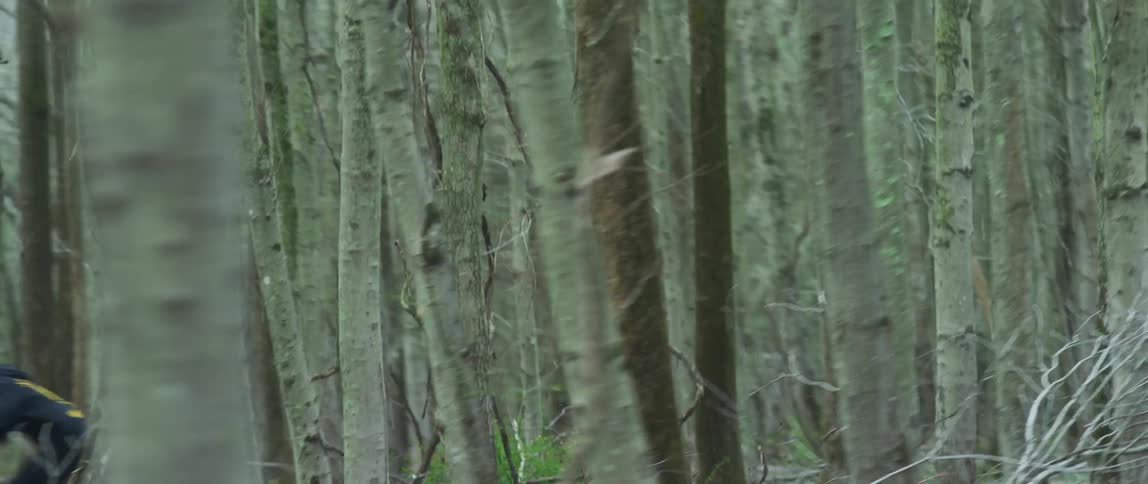 Man driving a motorcycle at full speed through the forest