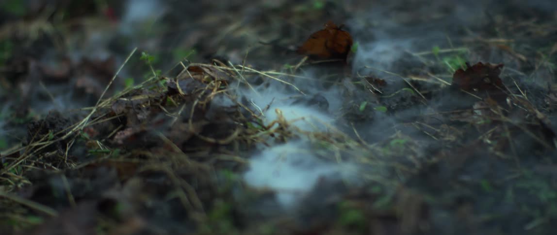 Thick smoke rises as a field burns