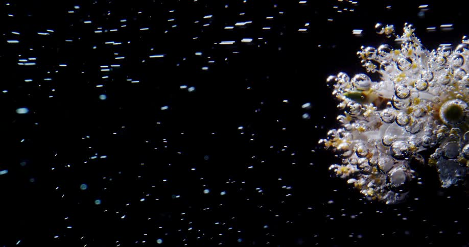 Bubbles fly from the object in the water