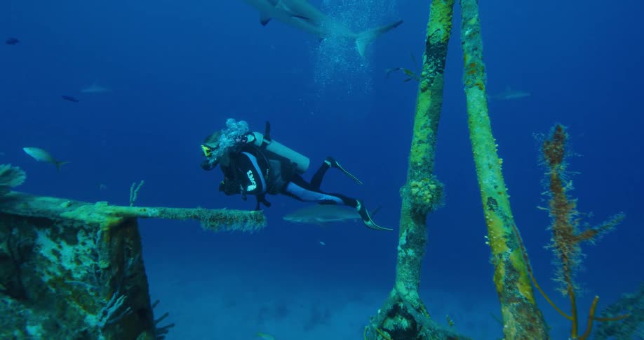 A person with scuba gear swimming underwater with fishes and a sunken ship