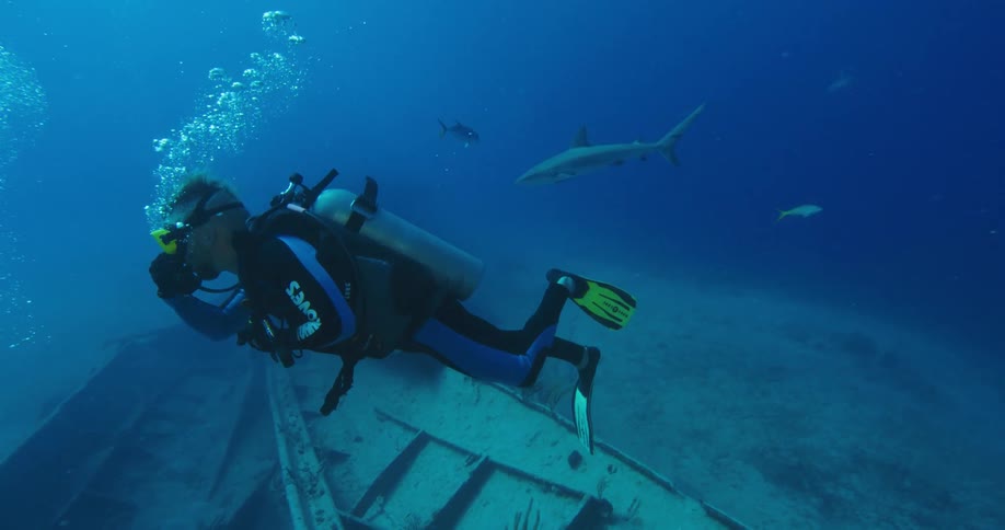 Scuba diver swimming over a sunken ship near a shark in the ocean